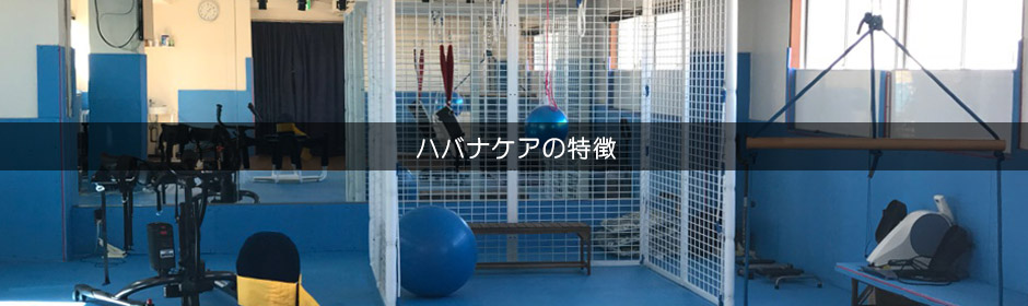 ハバナケアの特徴|特定非営利活動法人訪問介護ハバナケア